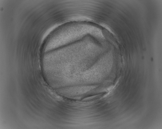 X0000078301022200612011829