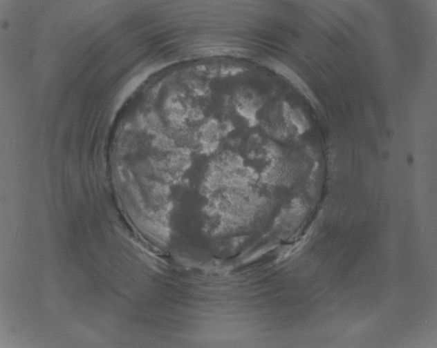 X0000078301023200612011829