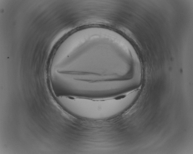 X0000078301024200612011829