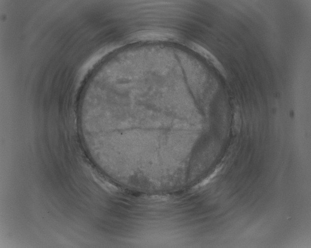 X0000078301027200612011829