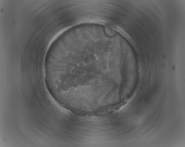 X0000078301028200612011829