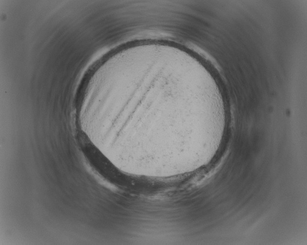 X0000078301029200612011829