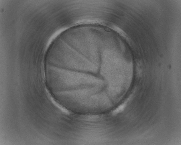 X0000078301030200612011829