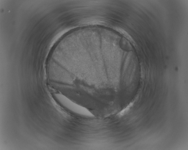 X0000078301031200612011829