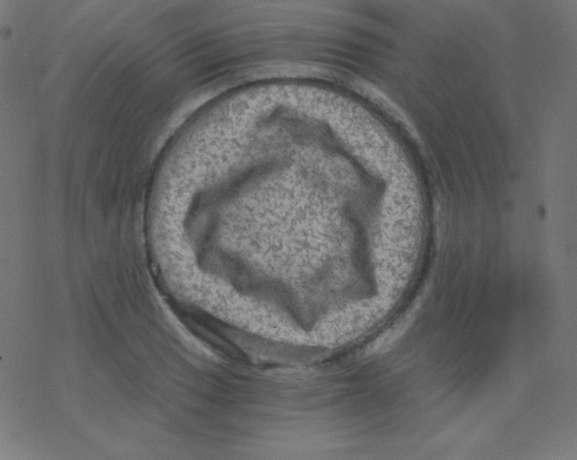 X0000078301033200612011829