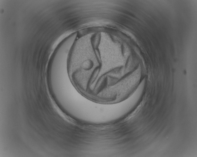 X0000078301034200612011829