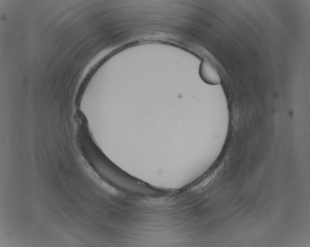 X0000078301036200612011829