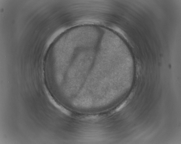 X0000078301038200612011829