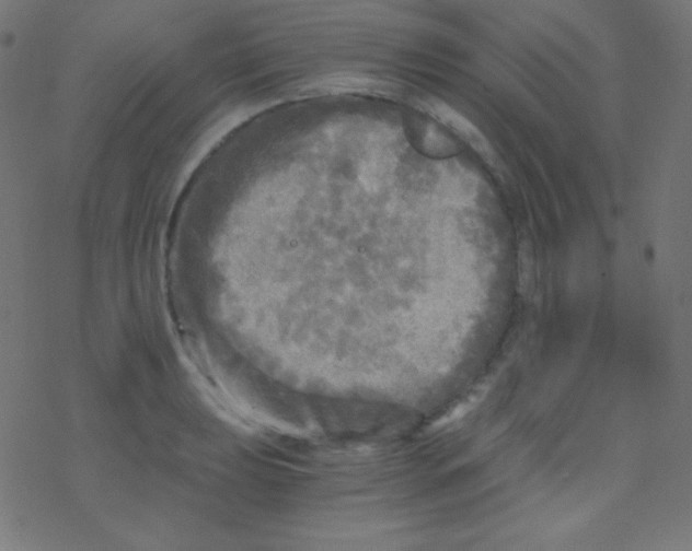 X0000078301039200612011829