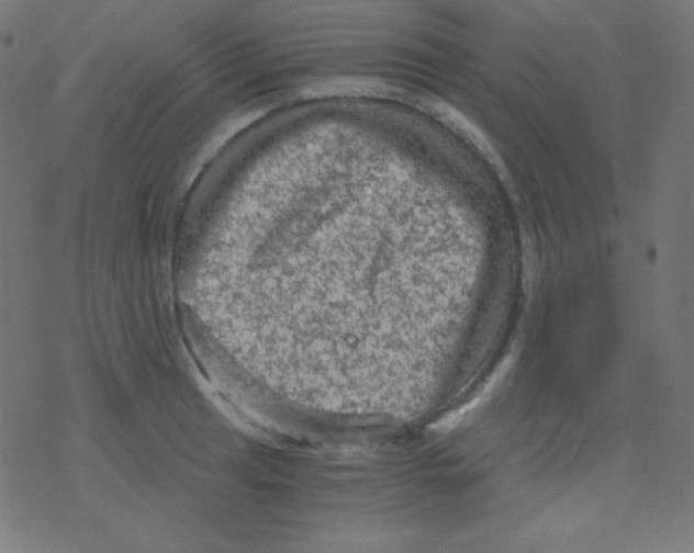 X0000078301041200612011829