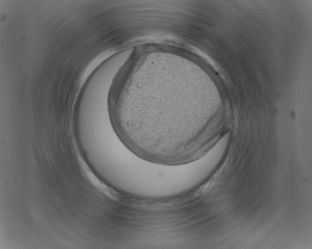 X0000078301042200612011829