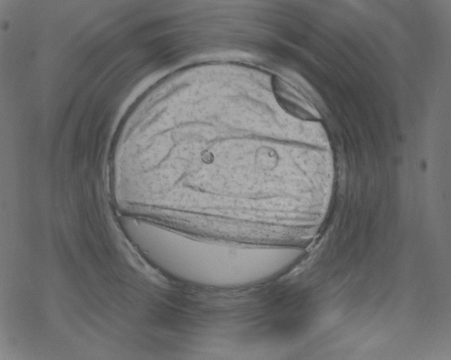 X0000078301044200612011830