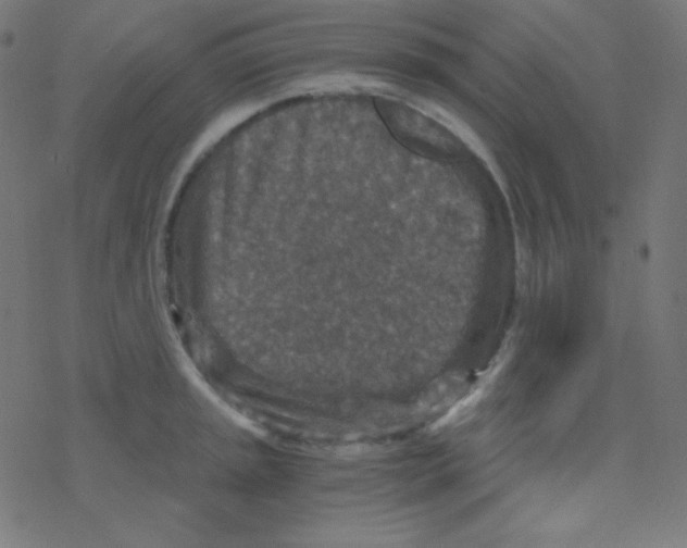 X0000078301045200612011830