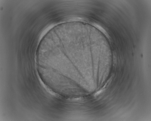 X0000078301047200612011830