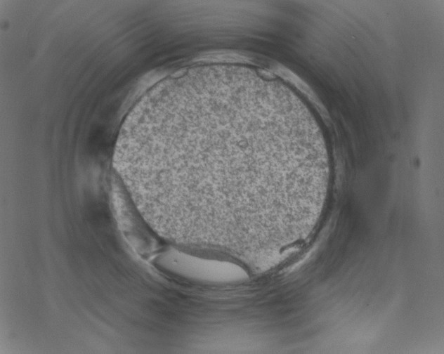 X0000078301049200612011830