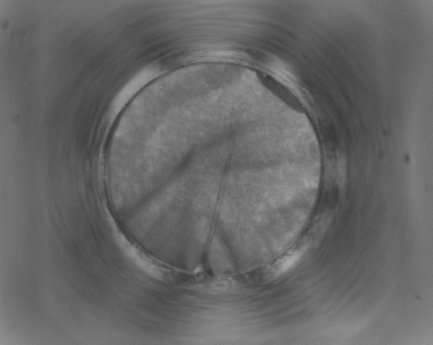 X0000078301050200612011830