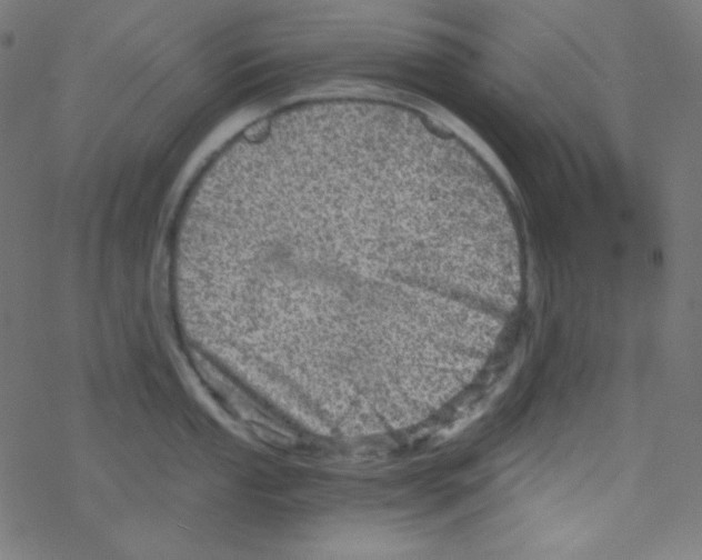 X0000078301053200612011830