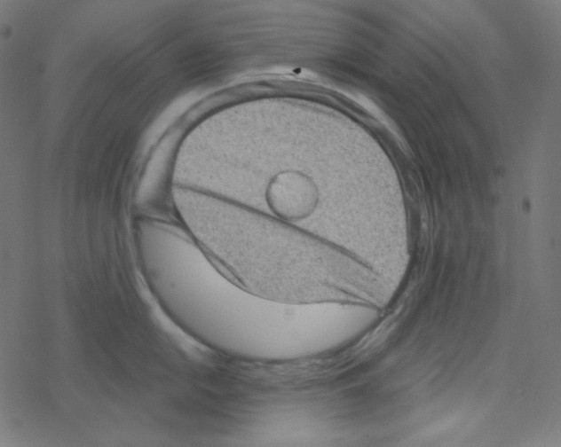 X0000078301054200612011830