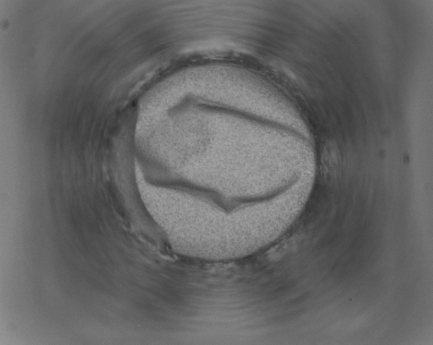 X0000078301062200612011829