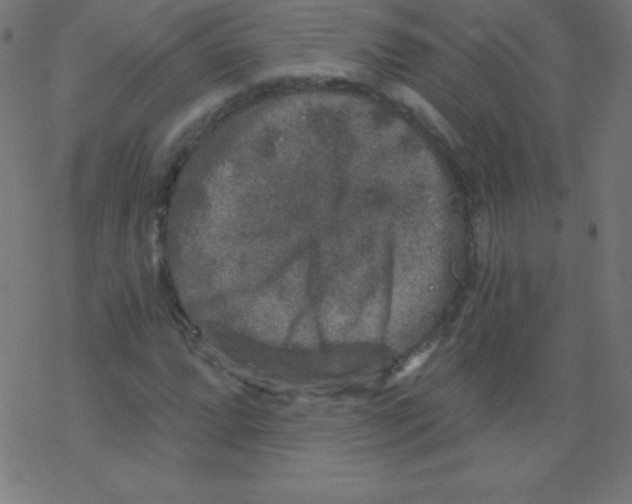 X0000078301064200612011829