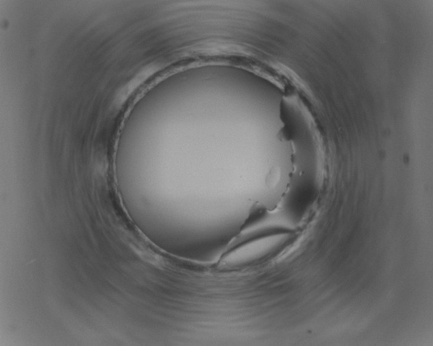 X0000078301065200612011829