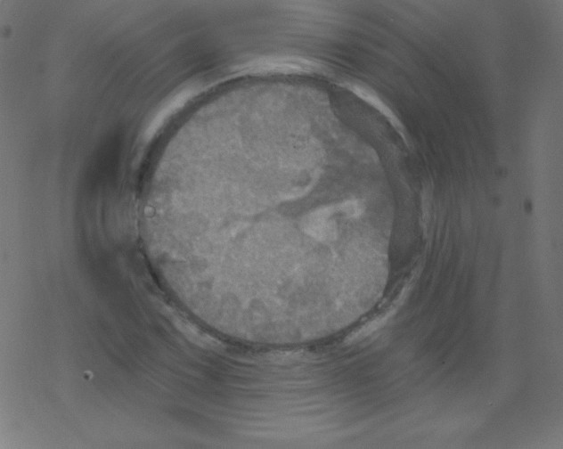 X0000078301067200612011829