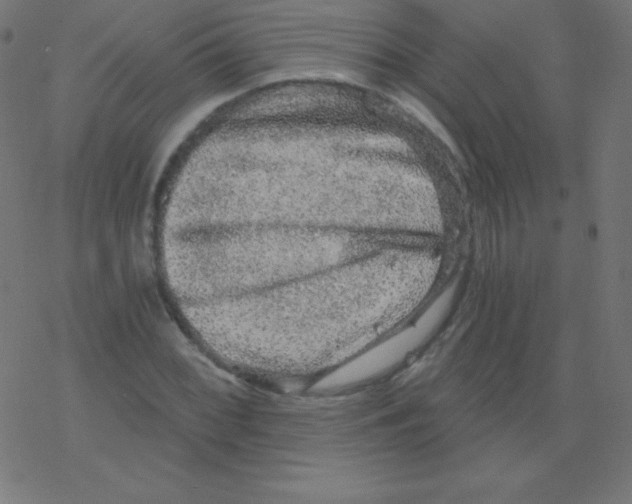 X0000078301068200612011829