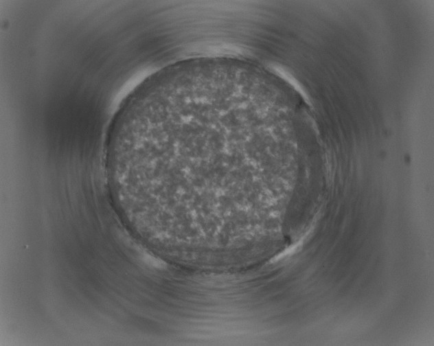 X0000078301071200612011829