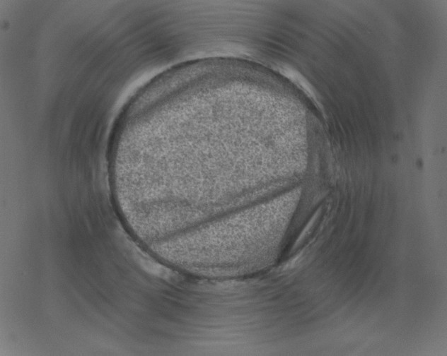 X0000078301072200612011829