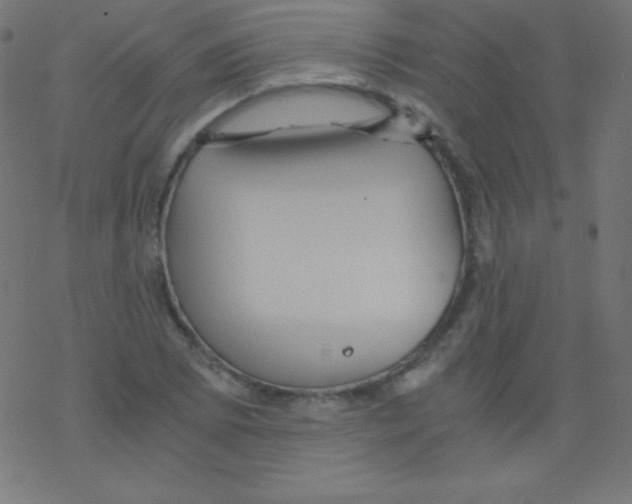 X0000078301073200612011829