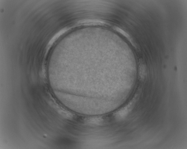 X0000078301074200612011829