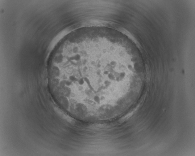 X0000078301075200612011829