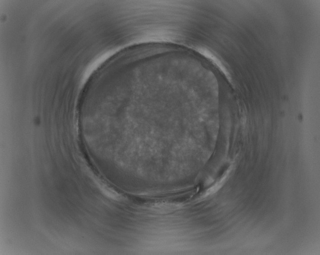 X0000078301077200612011829