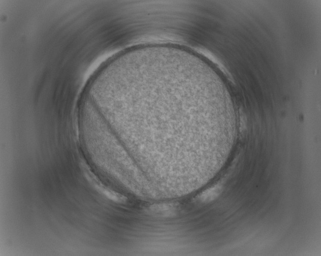 X0000078301078200612011829