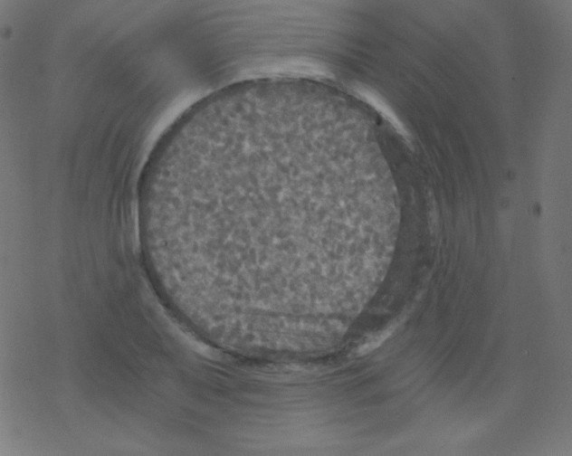 X0000078301079200612011829