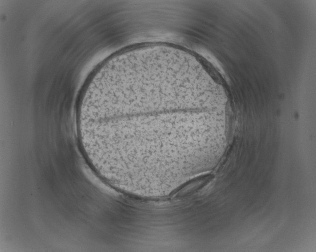 X0000078301080200612011829