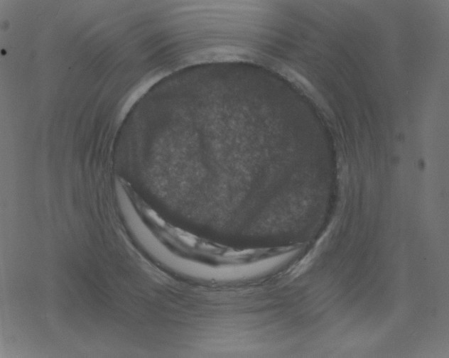 X0000078301081200612011829