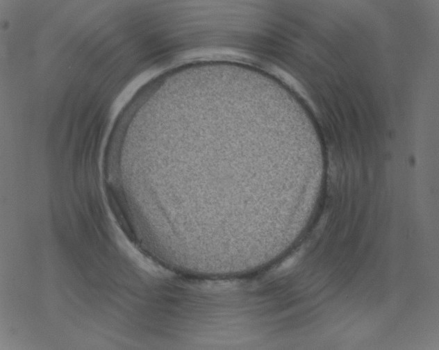 X0000078301082200612011829