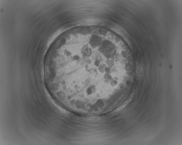 X0000078301083200612011829