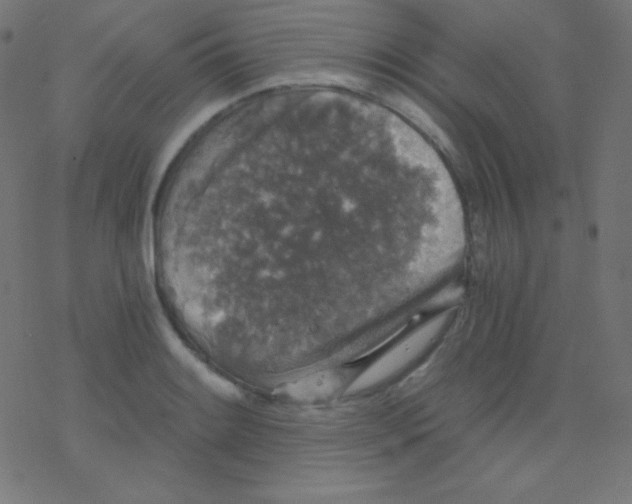 X0000078301084200612011829