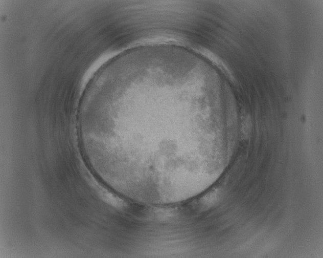 X0000078301086200612011828