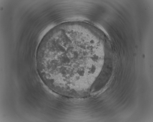 X0000078301087200612011828