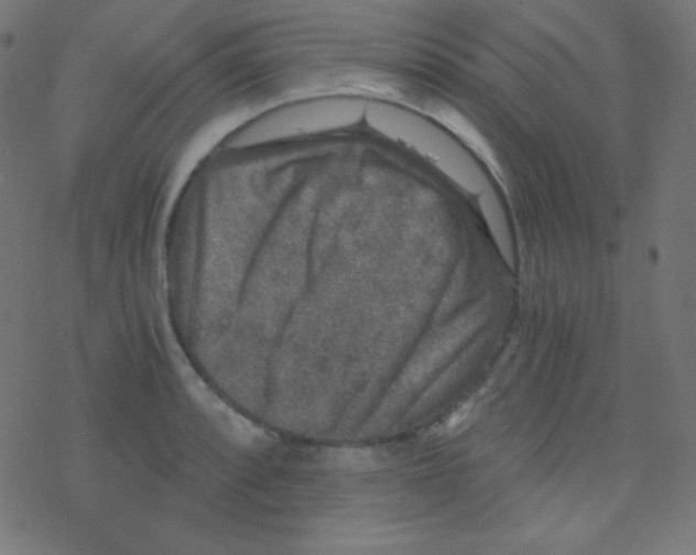 X0000078301088200612011828