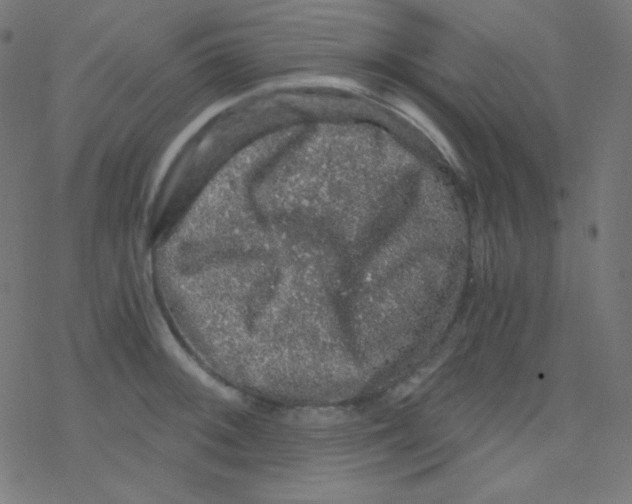 X0000078301092200612011828