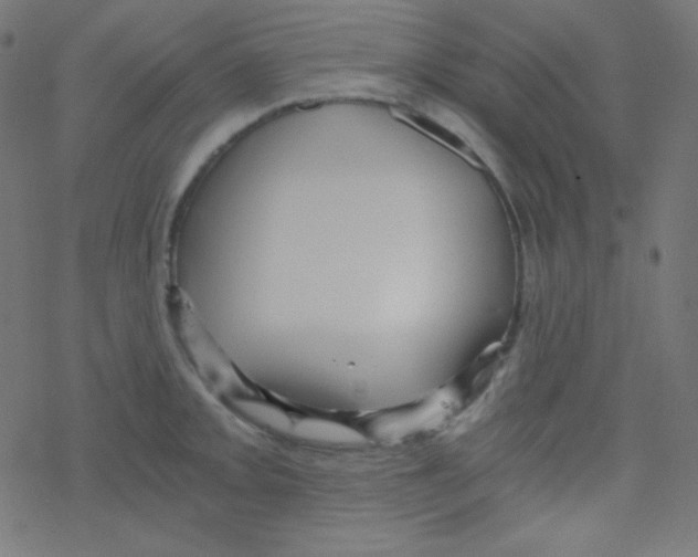 X0000078301093200612011828