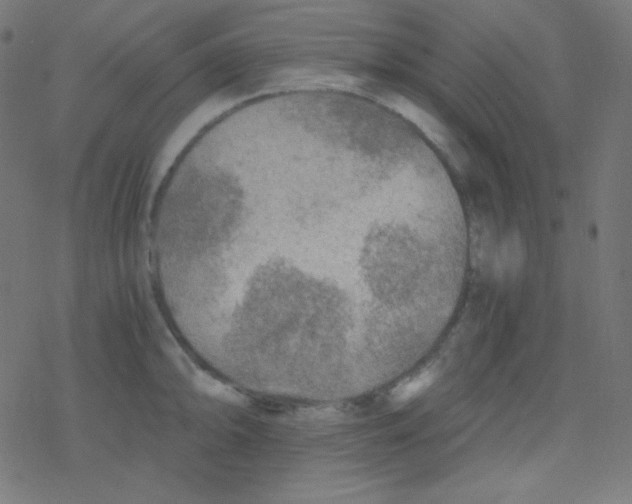 X0000078301094200612011828