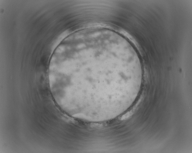 X0000078301097200612011828