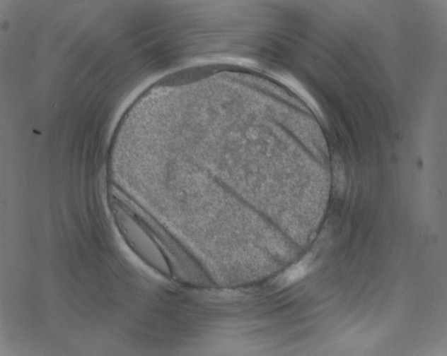 X0000078301100200612011828