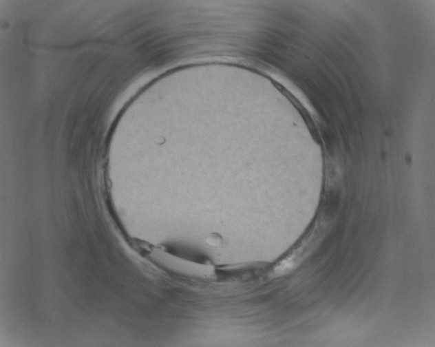 X0000078301101200612011828