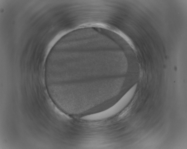 X0000078301102200612011828